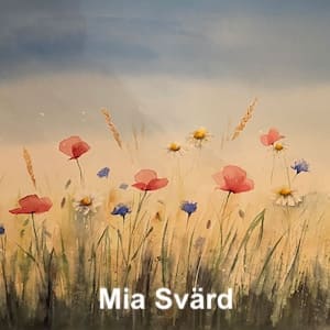 Läs mer
